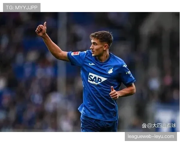 霍芬海姆比赛节奏近期表现稳健，攻防转换效率持续提升