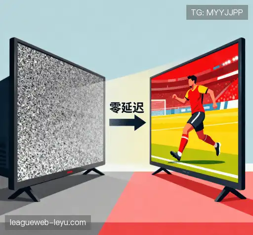 我们的竞争优势